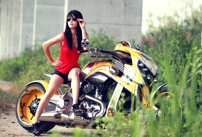 Harley-Davidson, , Japanese, model, bike