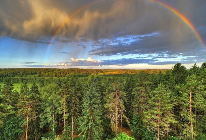 rainbow, sky, clouds, fields, plants