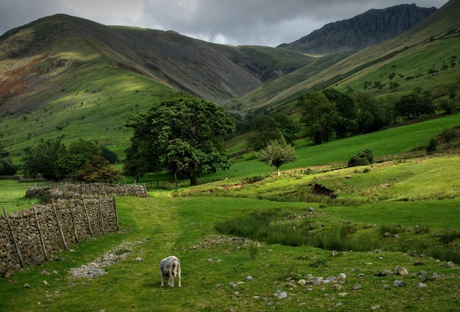 wall, green, grass, mountain