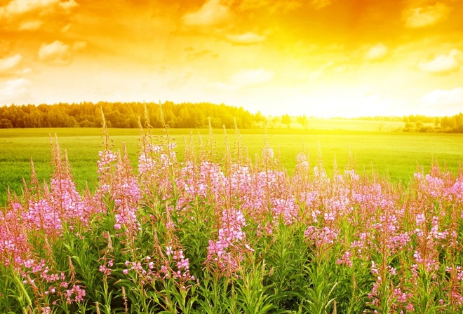 clouds, sunlight.grass, sky
