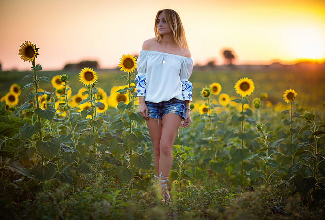 �������, ����, ����������