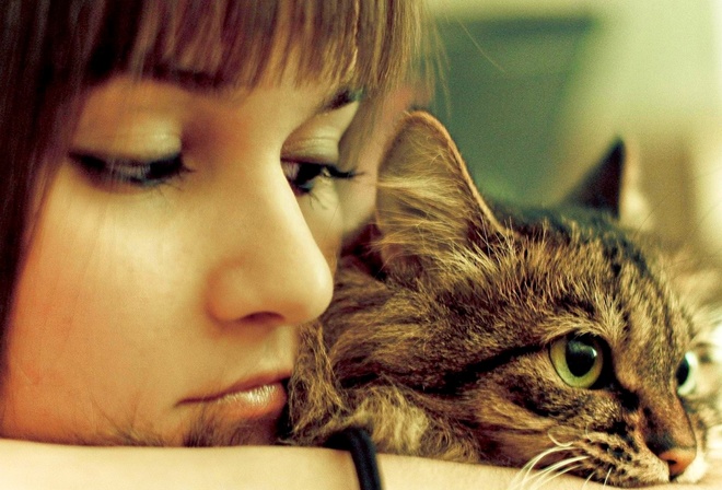 �������, �����, ��������