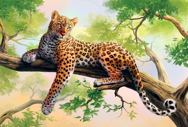 leopard, lazy, branch, tree