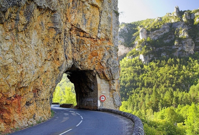 road, mountain, tree, rock