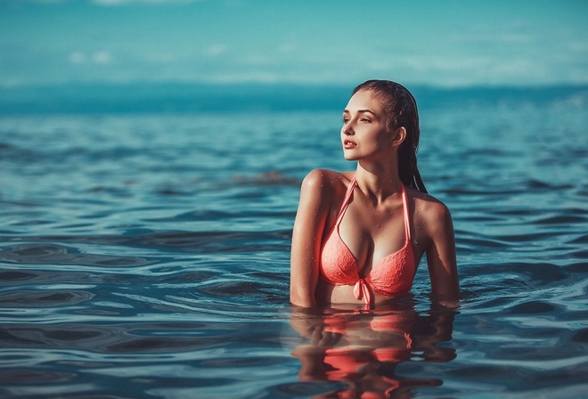 �������, ���������, ����, ����������