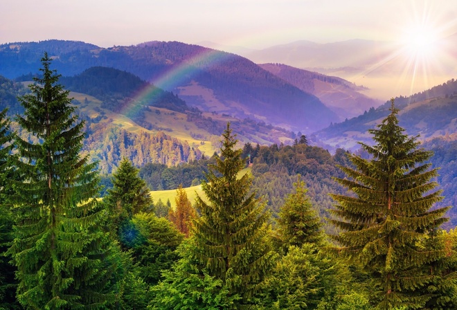 rainbow, forest, mountain, nature, clouds, sky