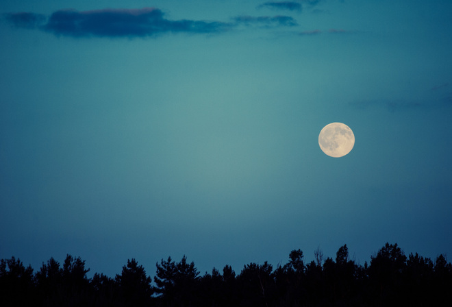 moon, night, sky, trees