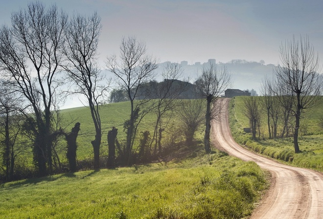 road, grass, house, trees, green