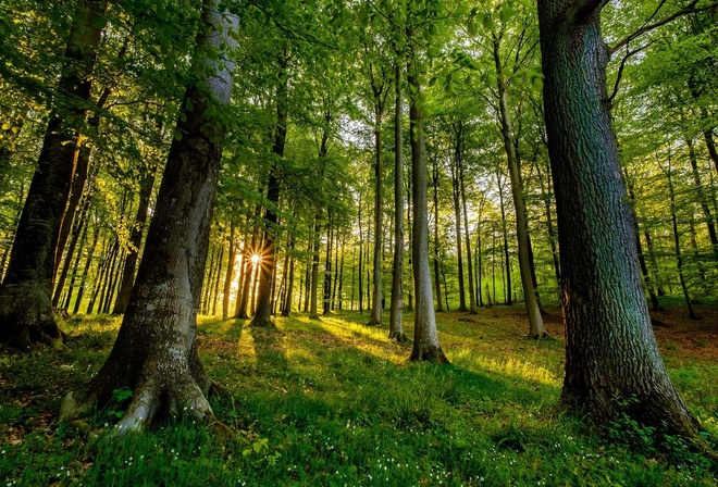 �������, ���, ����, ������