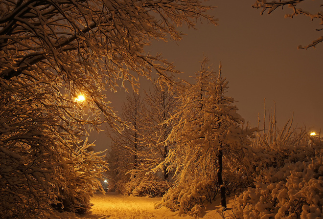 winter, snow, trees, lighthouse, night