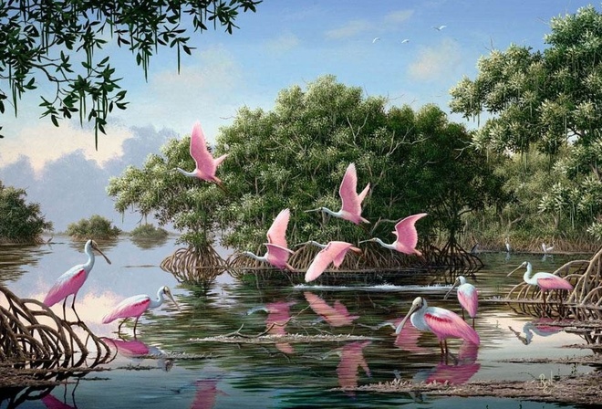 spoonbills, pinks, water, tree, river