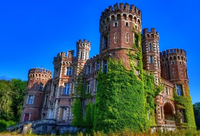 castle, old, tree, sky