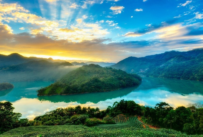 river, forest, sunlight, tree