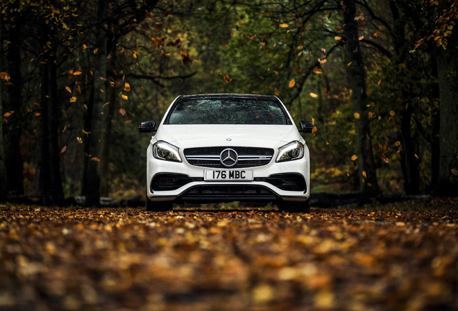 Mercedes-Benz, , AMG, A-class, W176, , 