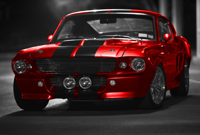 Ford Mustang, GT500, Shelby, , 