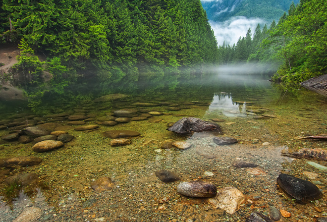 �������, ������ ����