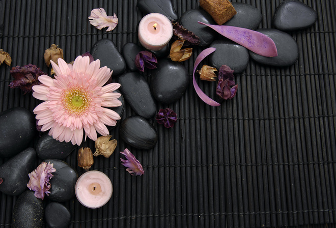 ,  , Spa, Spa stones, gerbera, , flower, 