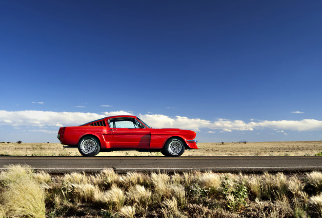 1965, Mustang, Ford