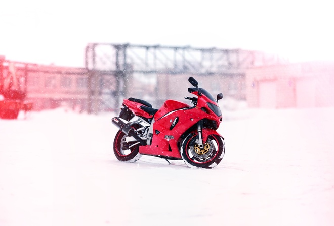 Red, Suzuki, , , 