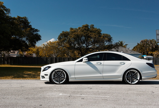 cls, 550, white, side view, mercedes, matte, tuning