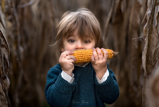 Adrian C. Murray, ребёнок, мальчик, малыш, кукуруза