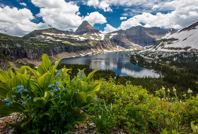 , , North America,  , Montana, , , Glacier National Park, , 