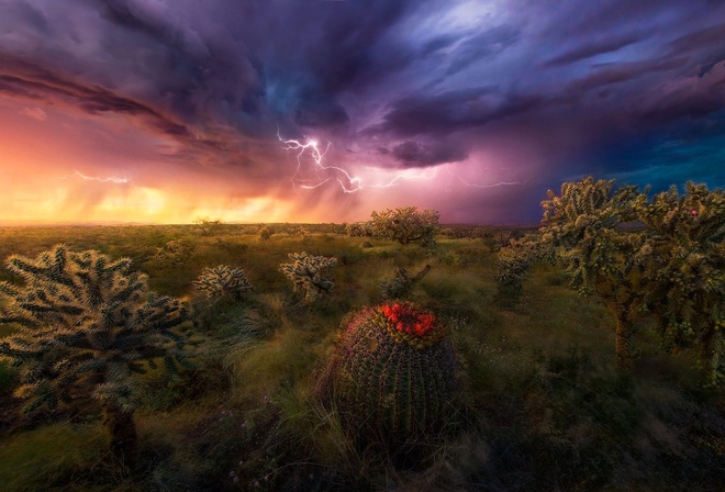 Marc Adamus, Arizona, , , , , 