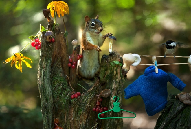 Andre Villeneuve, , , , , , , , 