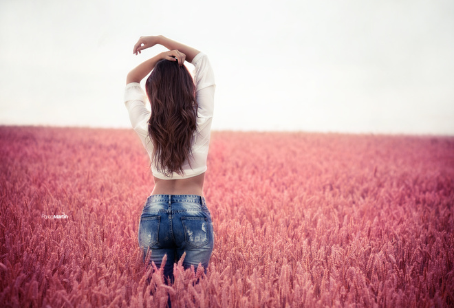 �������, �������, ����� ����