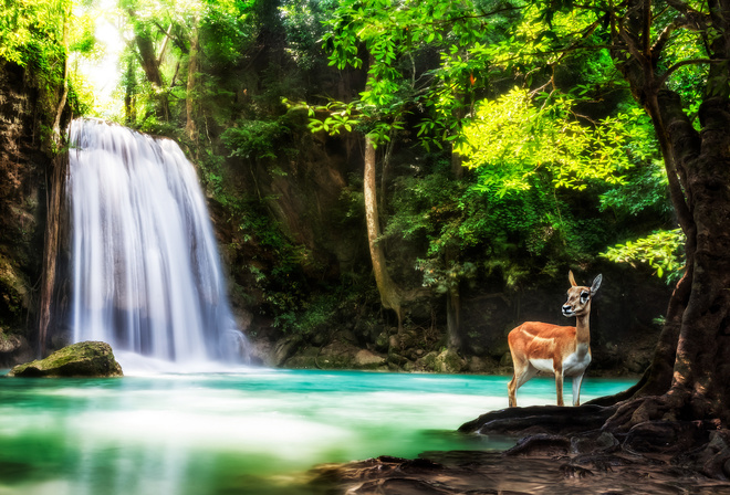 Kanchanaburi, Province, Thailand, , , ,  , , Erawan, , , , 