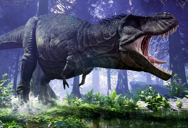 , Tyrannosaurus, Rex, 3D