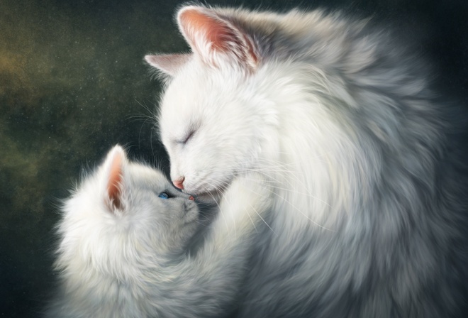 �����, ���, �������