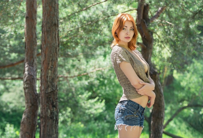 �������, ����, ���, �����, �����