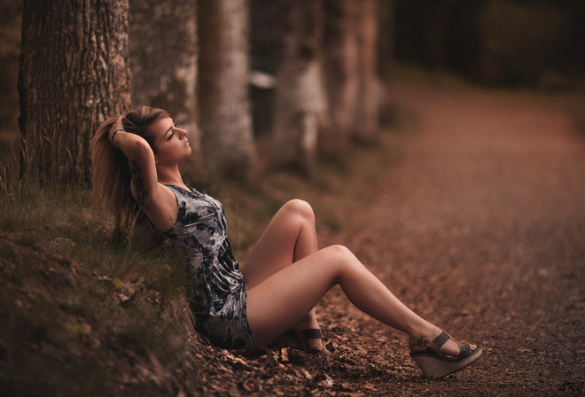 �������, ������, �����