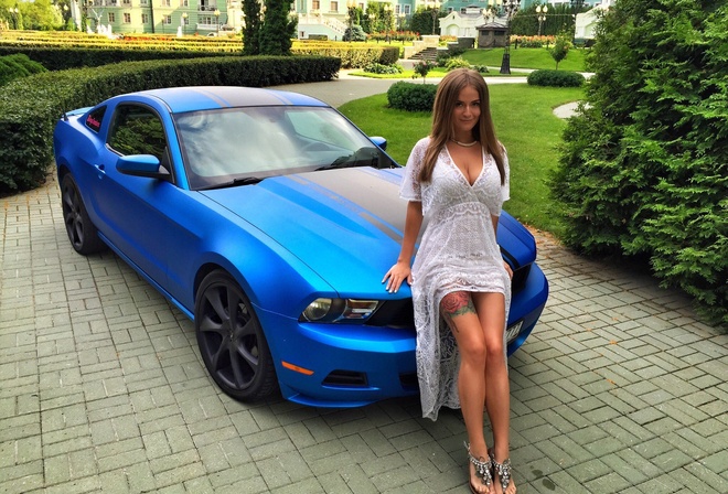 �������, ��������, �����, ����