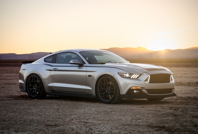 ����, �������, ��������