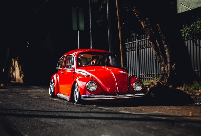 red, Volkswagen, ����