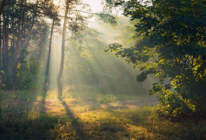 ���, ����, �������, �����, �����, ��������, ������������ ������