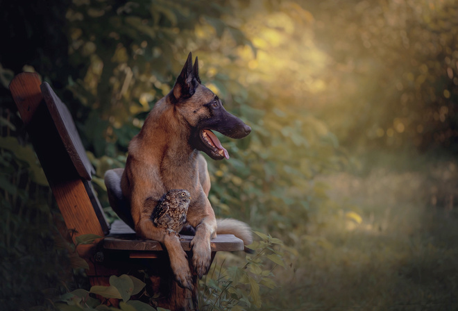 Tanja Brandt,  , , , , , , , , 