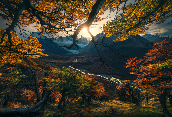 , , , Max Rive, , , , , 