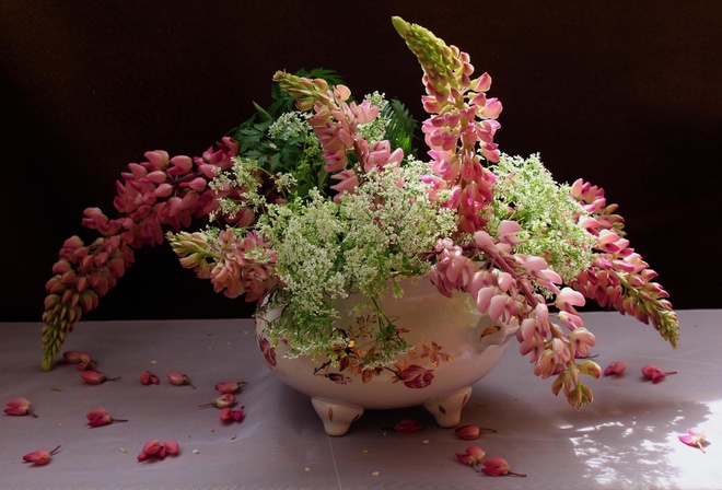 ваза, цветы, люпины