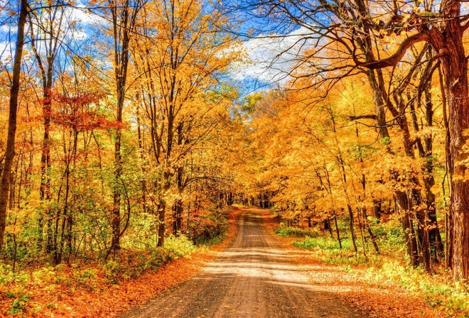 природа, Осень, дорога