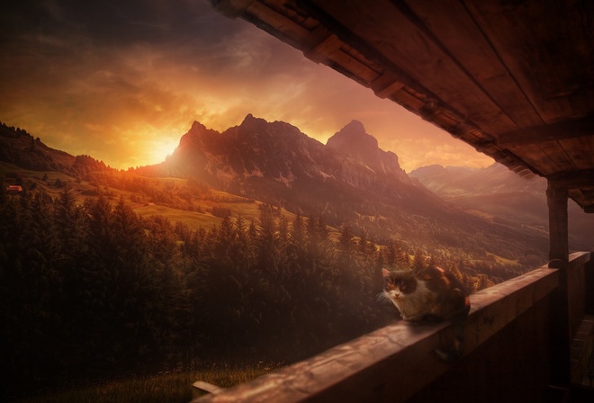 �������, ����, ���