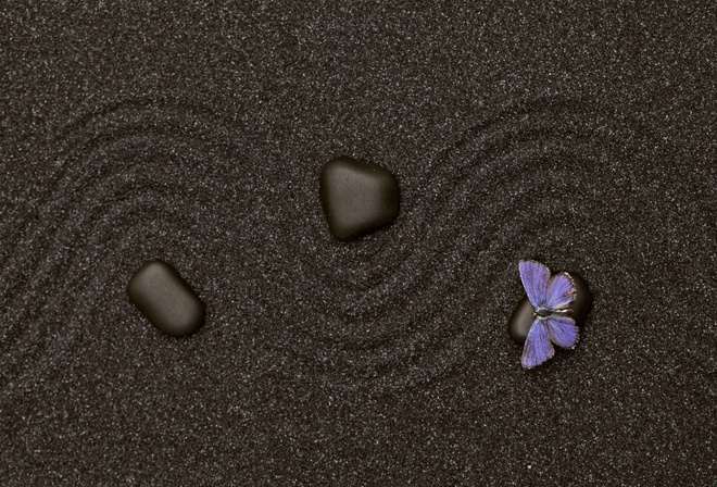 песок, камни, бабочка