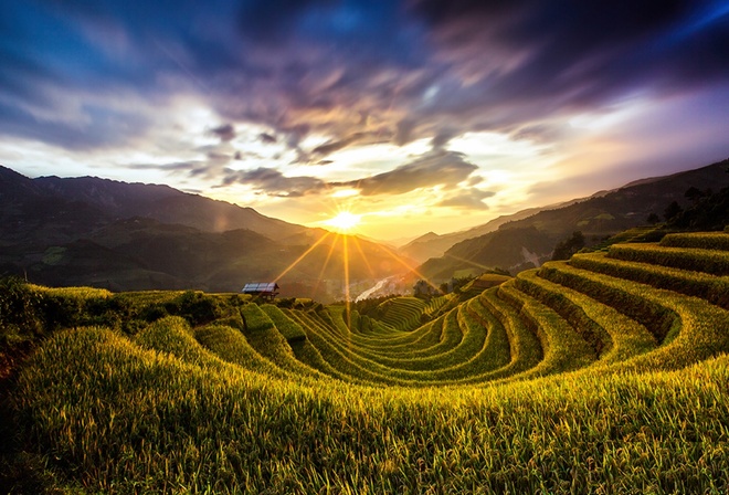 Mu Cang Chai rice, , , , quanphoto