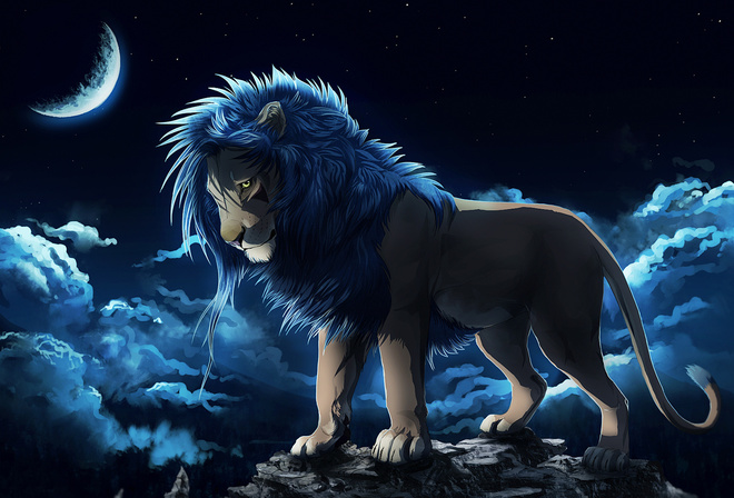 Leo, rock, mane, the sky, The moon,  LEONa