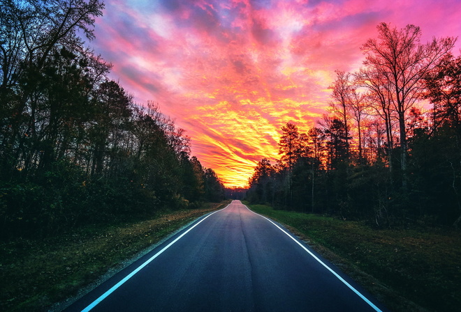road, forest, sunset