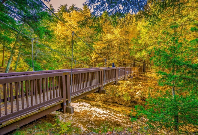 Bridge, Autumn, Trees