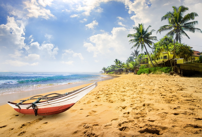 paradise, beach, palm trees, beach, sea, sand, tropics