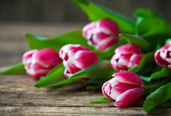 �����, �����, ��������